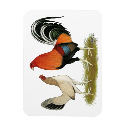 Gamefowl Wheatens Magnet (Vertikal)