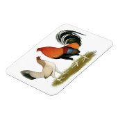 Gamefowl Wheatens Magnet (Linke Seite)