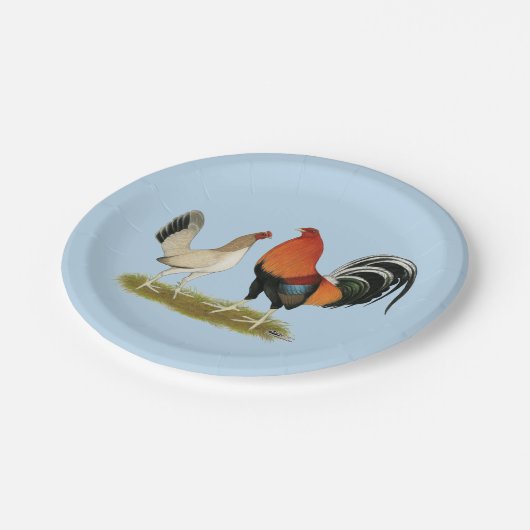 Gamefowl Wheatens Pappteller (Schrägansicht)