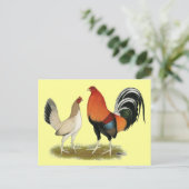 Gamefowl Wheatens Postkarte (Stehend Vorderseite)