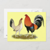 Gamefowl Wheatens Postkarte (Vorne/Hinten)