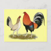 Gamefowl Wheatens Postkarte (Vorderseite)