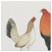 Gamefowl Wheatens Stoff (Nahaufnahme)