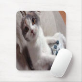 Gaming Cat mousepad (Mit Mouse)