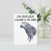 Gamme Perroquet - Gris du Gabon Postkarte (Stehend Vorderseite)