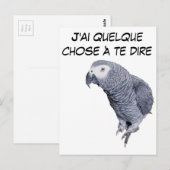 Gamme Perroquet - Gris du Gabon Postkarte (Vorne/Hinten)