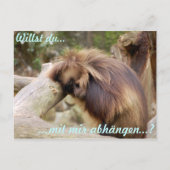 Gammelaffe Postkarte (Vorderseite)