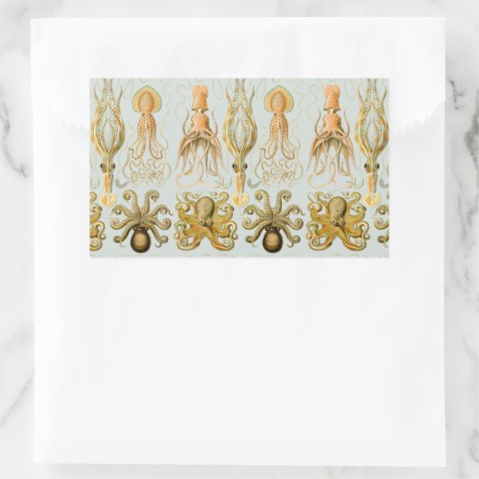 Gamochonia von Ernst Haeckel Rechteckiger Aufkleber (Tasche)