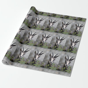 Gams Gemse Gämse Geschenkpapier