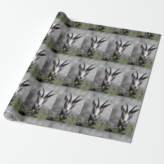 Gams Gemse Gämse Geschenkpapier (Ungerollt)