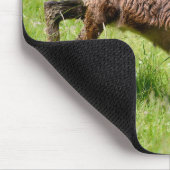 Gämse auf Gras Postkarte T - Shirt Kaffee M Mousepad (Ecke)