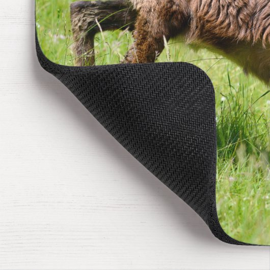 Gämse auf Gras Postkarte T - Shirt Kaffee M Mousepad (Ecke)