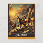 Gämse | Niedliche Vintage Tierpostkarte Postkarte (Vorderseite)