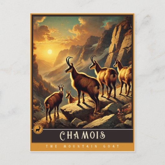 Gämse | Niedliche Vintage Tierpostkarte Postkarte (Vorderseite)