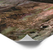 Gämsen von CE Swan, Ziegen in den Bergen Poster (Ecke)