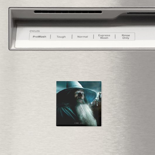 Gandalf bei Dol Guldur Magnet (In Situ (Geschirrspüler))