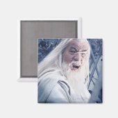 GANDALF™ bei Rindern Magnet (Vorderseite/Rückseite)