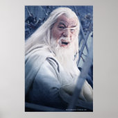 GANDALF™ bei Rindern Poster (Vorne)
