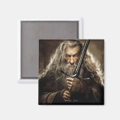 Gandalf Character Poster 1 Magnet (Vorderseite/Rückseite)