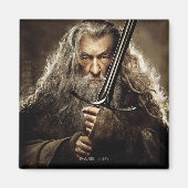 Gandalf Character Poster 1 Magnet (Vorne)