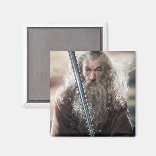 Gandalf Character Poster 2 Magnet (Vorderseite/Rückseite)