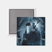 Gandalf Character Poster 3 Magnet (Vorderseite/Rückseite)