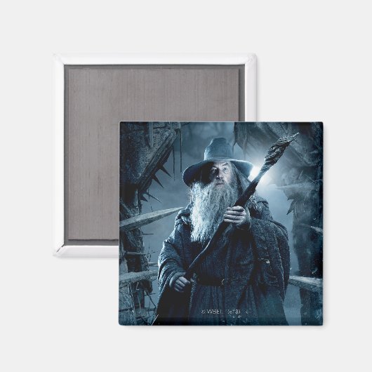 Gandalf Character Poster 3 Magnet (Vorderseite/Rückseite)