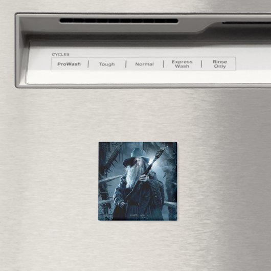 Gandalf Character Poster 3 Magnet (In Situ (Geschirrspüler))