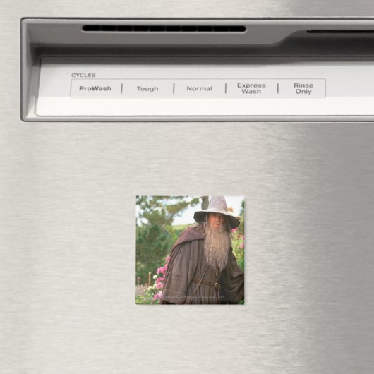 GANDALF™ mit Hut Magnet (In Situ (Geschirrspüler))