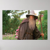 GANDALF™ mit Hut Poster (Vorne)