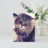 Gandalf Postkarte (Stehend Vorderseite)