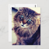 Gandalf Postkarte (Vorne/Hinten)