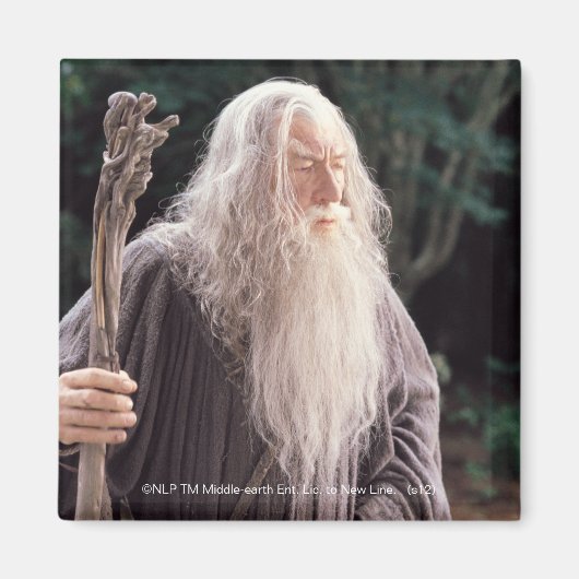 GANDALF™ Stehend Magnet (Vorne)
