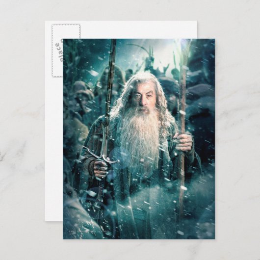 Gandalf The Gray Postkarte (Vorne/Hinten)