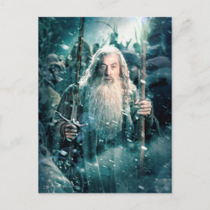 Gandalf The Gray Postkarte