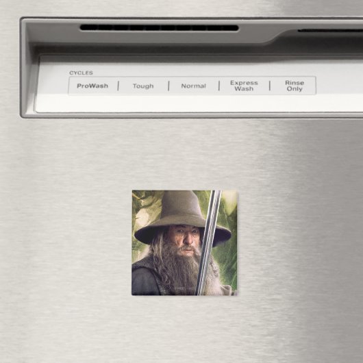 Gandalf With Staff And Sword Magnet (In Situ (Geschirrspüler))