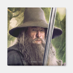 Gandalf With Staff And Sword Magnet