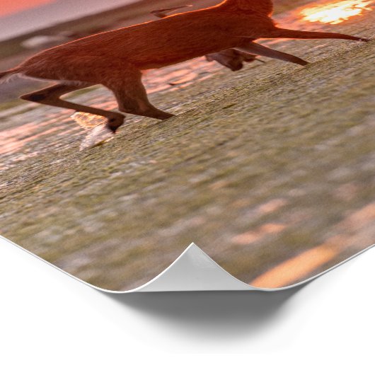 Gandhi Sunset Zitat Poster (Ecke)