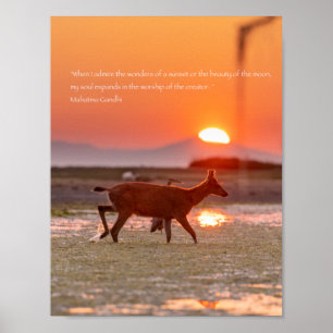 Gandhi Sunset Zitat Poster