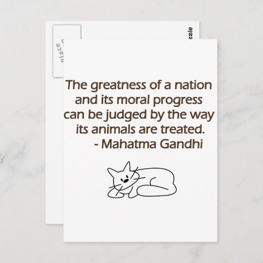Gandhi Tier-Zitat mit Katze Postkarte (Vorne/Hinten)