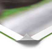 Gandhi Zitat, Leckerei der Tiere gut Poster (Ecke)