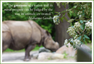 Wallpaper Gandhi Zitat Poster Zazzle De For Android Free