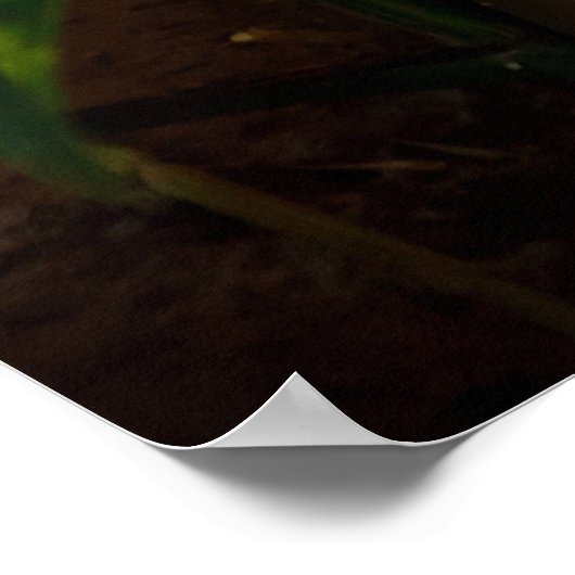 Ganesha-Plakat Poster (Ecke)