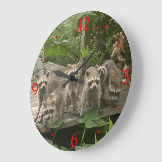 Gang der Raccoons> Tiermauer Große Wanduhr (Winkel)
