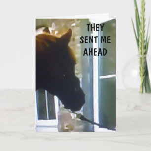 GANG HAT MICH GESAGT, UM GLÜCKLICH BIRTHTAG ZU SAG KARTE