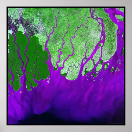 Ganges Delta Bay of Bengalisch Poster (Vorne)