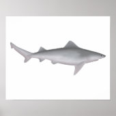 Ganges Shark Poster (Vorne)