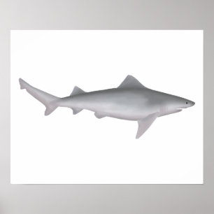 Ganges Shark Poster