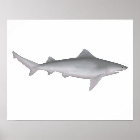 Ganges Shark Poster (Vorne)