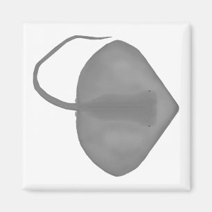 Ganges Stingray Magnet